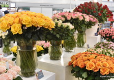 The roses from De Ruiter Innovations.
